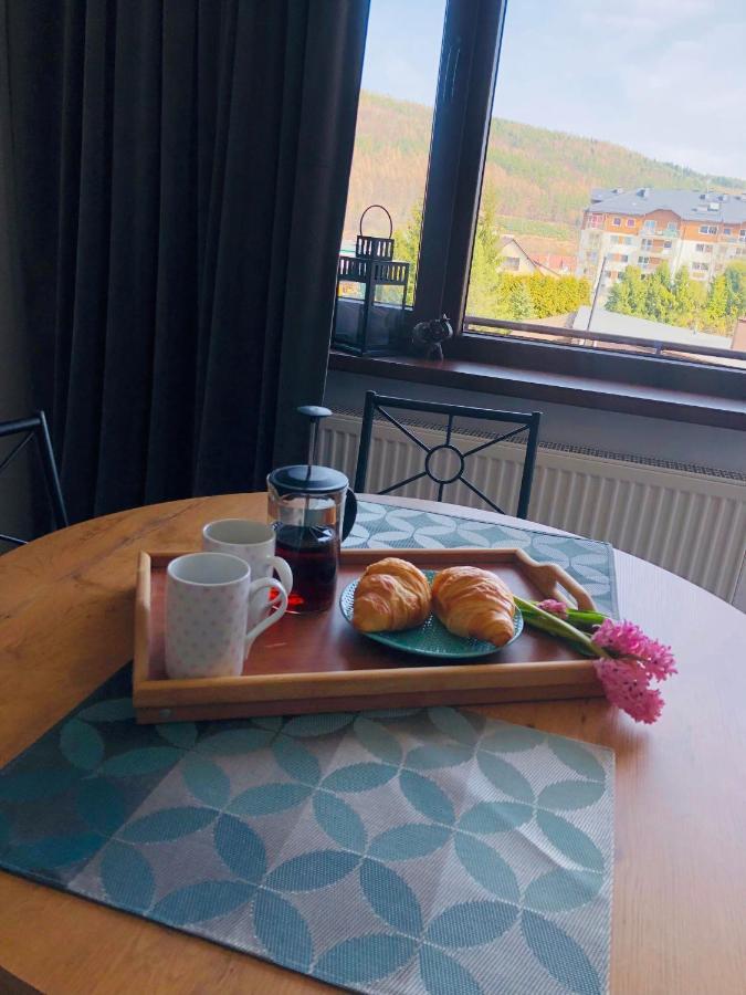 Apartament Bieszczady Apartman Ustrzyki Dolne Kültér fotó